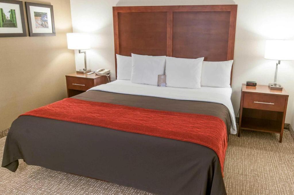 Comfort Inn Quantico Stafford Bagian luar foto