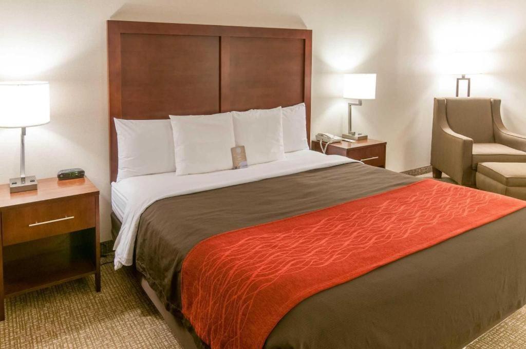 Comfort Inn Quantico Stafford Bagian luar foto