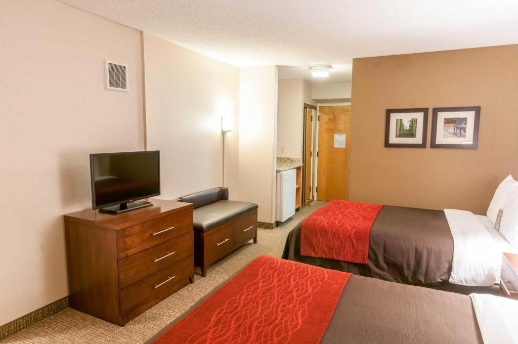 Comfort Inn Quantico Stafford Bagian luar foto