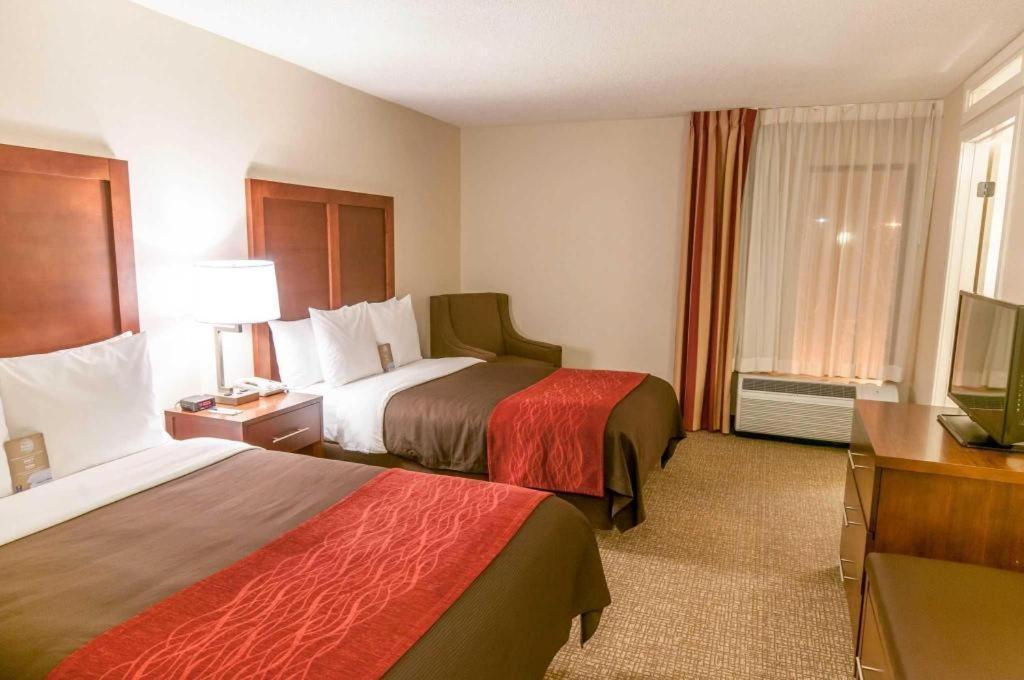Comfort Inn Quantico Stafford Bagian luar foto