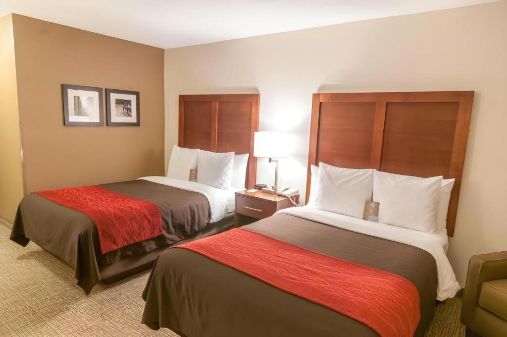 Comfort Inn Quantico Stafford Bagian luar foto