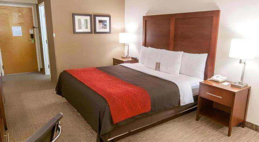 Comfort Inn Quantico Stafford Bagian luar foto