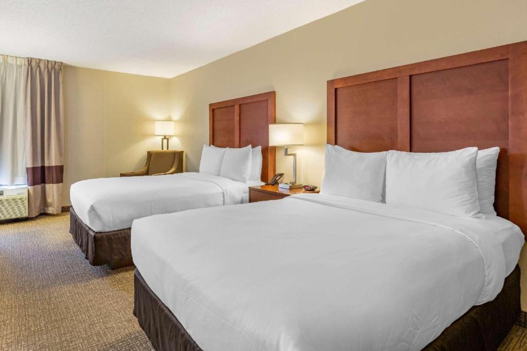 Comfort Inn Quantico Stafford Bagian luar foto